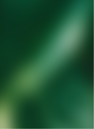 demo_alt